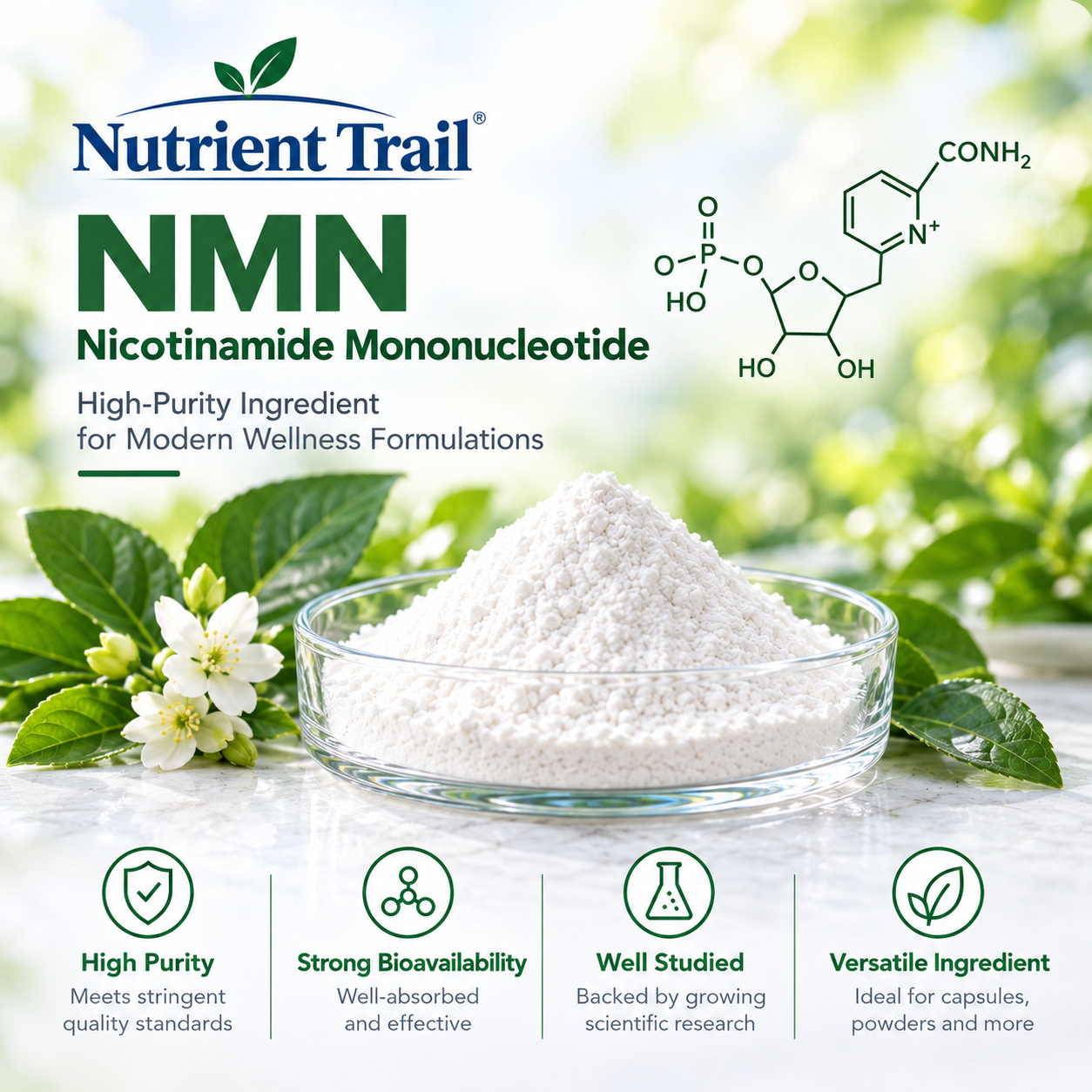 NMN (Nicotinamide Mononucleotide)