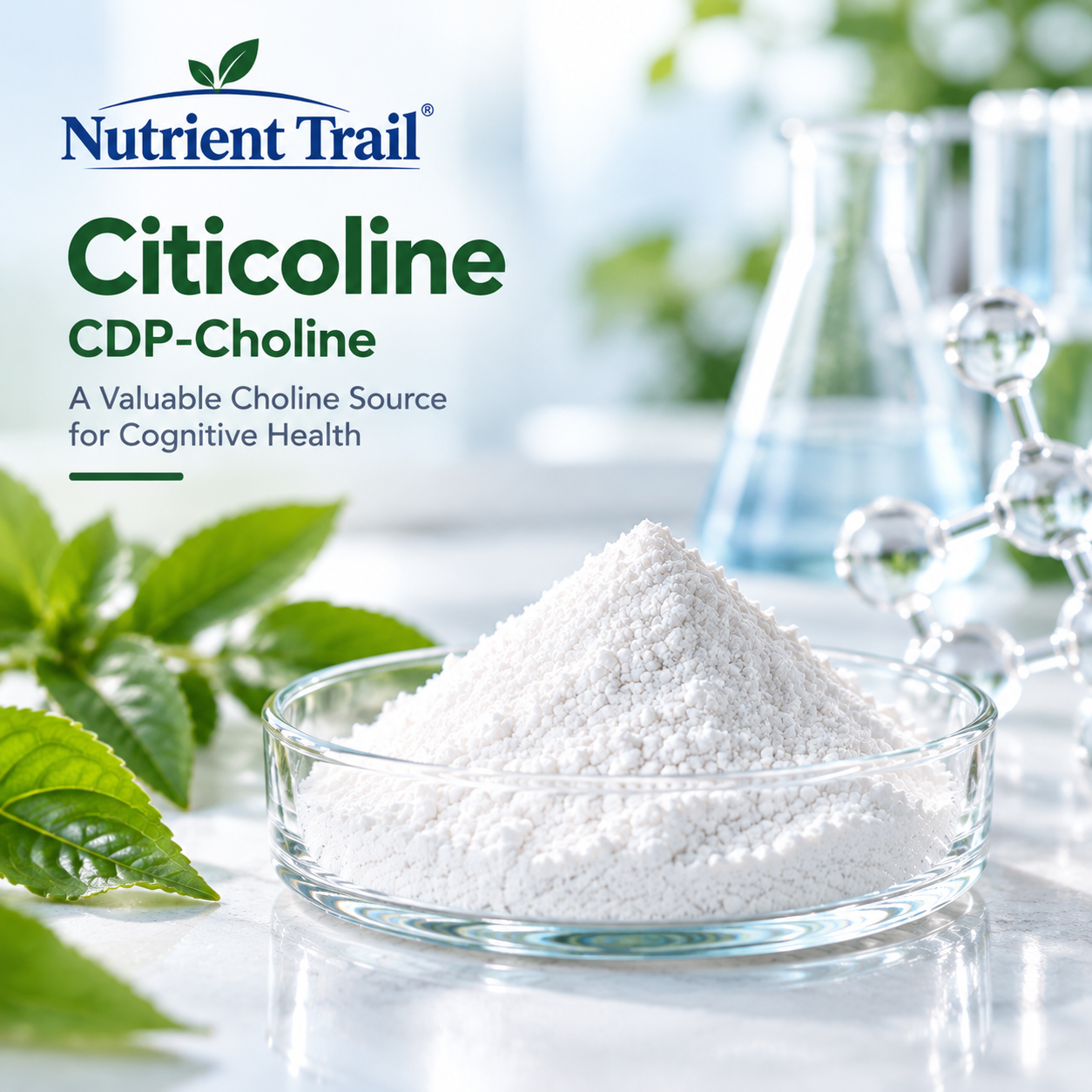 Citicoline (CDP-Choline)